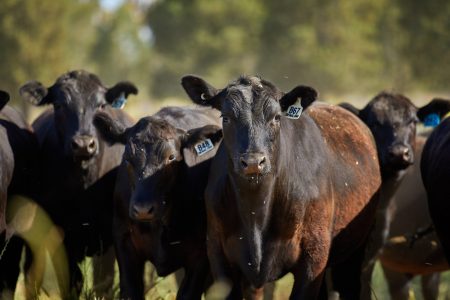 onfarm_centralwestnsw_303_lowres