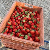 photo_2026-02-15_17-25-26