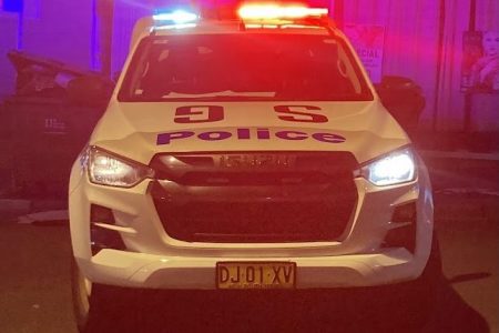 police_car2