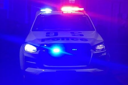 police_car3