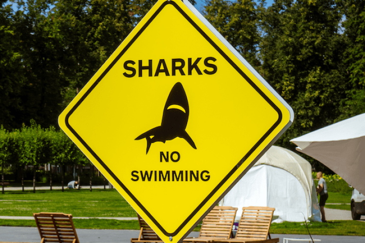 shark_sign