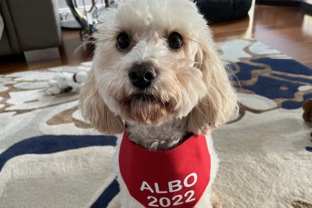 toto
