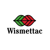 wismettic-1