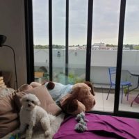 -2022-05-11-오후-4.36.57