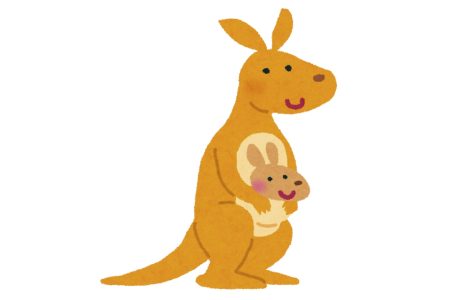 カンガルー