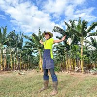 スクリーンショット-2024-02-01-14.18.46