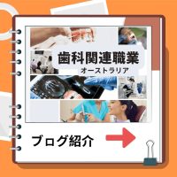 歯科関連職業-1