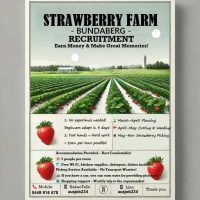 번다버그-딸기-포스터-용량