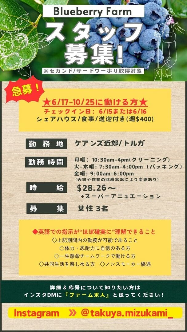 急募です！【6/17〜ブルーベリーファームジョブ求人】 | 掲示板 – 求人 